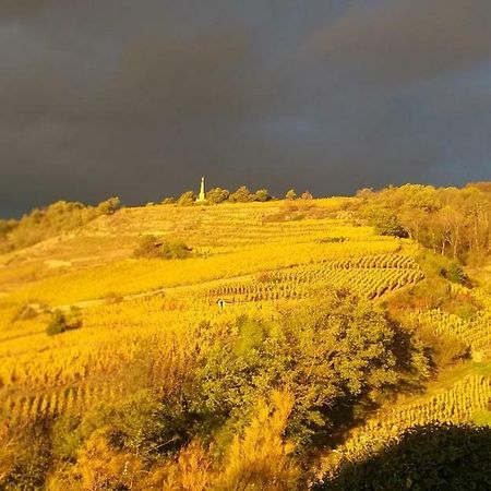 Wine Passion Panoramic 호텔 Chavanay 외부 사진