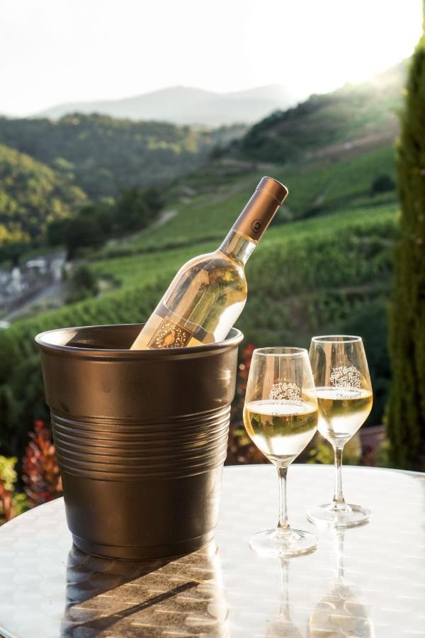 Wine Passion Panoramic 호텔 Chavanay 외부 사진