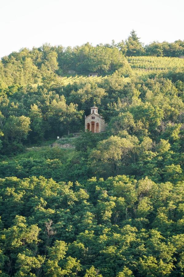 Wine Passion Panoramic 호텔 Chavanay 외부 사진