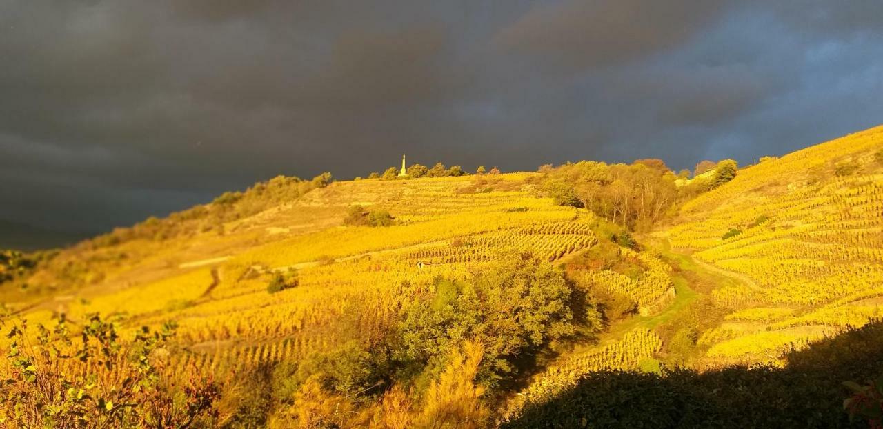 Wine Passion Panoramic 호텔 Chavanay 외부 사진