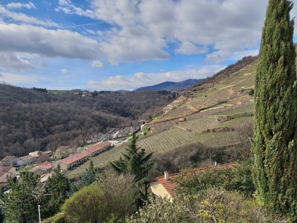 Wine Passion Panoramic 호텔 Chavanay 외부 사진